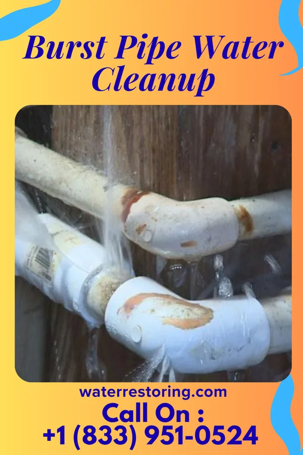 Burst Pipe Water Cleanup in Gully, MN