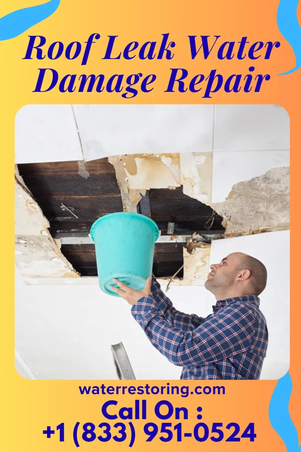 Roof Leak Water Damage Repair in Gully, MN